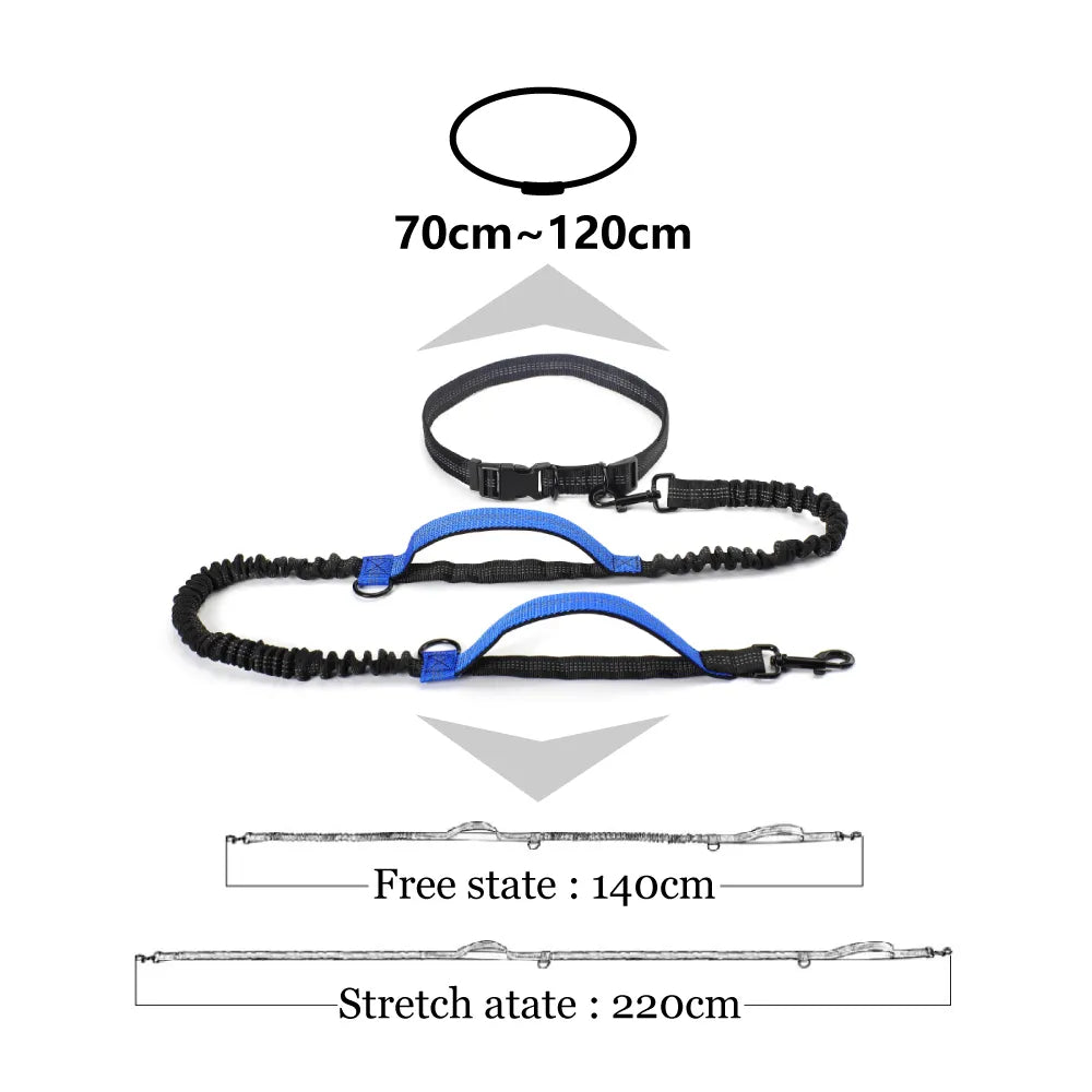 Premium Retractable Hands-Free Bungee Leash with Reflective Dual Handles for Large Dogs - Perfect for Running!